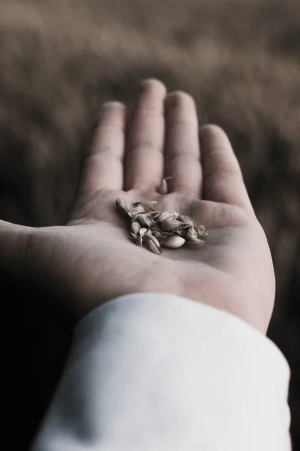 quienes somos image 2